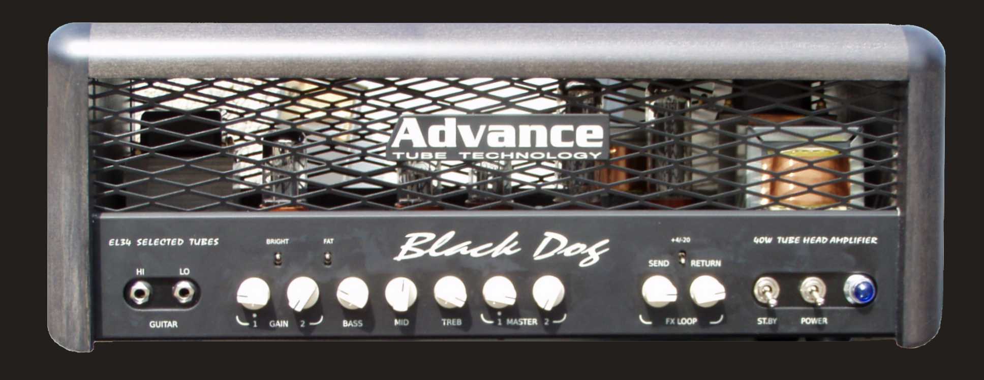 black dog front